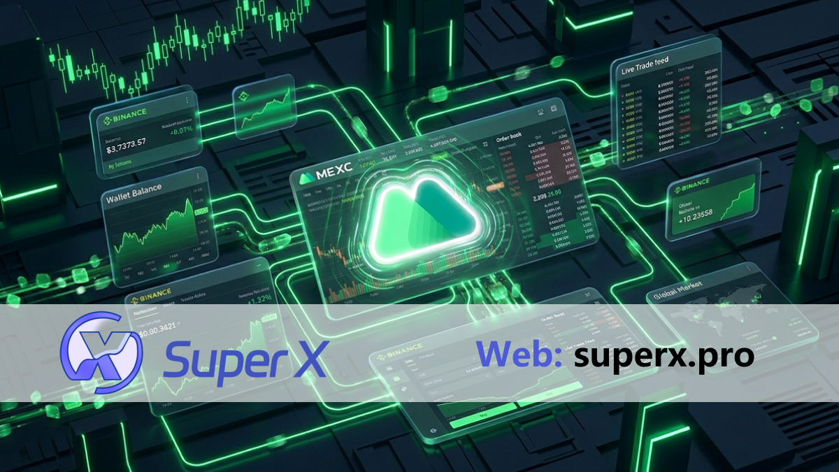 MECE账号批量状态识别与数据筛选流程示意图